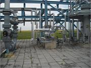 Banatski dvor slika22